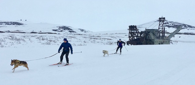 Skijoring is a great part of being on the Nome Nordic Ski team